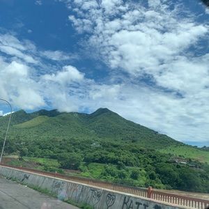 Meet your Posher, Damaris